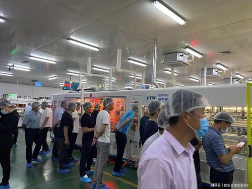 科技引領，共謀未來 潤馬光能光伏交流暨招商會東營站圓滿落幕